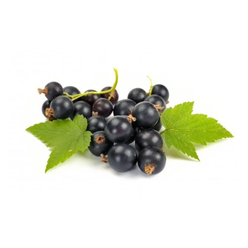 Cassis F-45