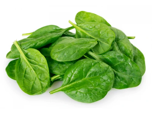 Chlorophylinen 97% E-140 P-WS