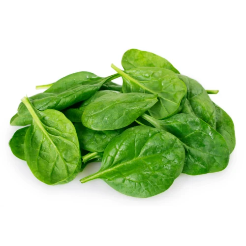 Chlorophylinen 97% E-140 P-WS